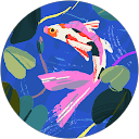 Lo M profile picture
